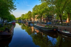View on Prinsengracht from Berensluis in Amsterdam, 2020 
7763 x